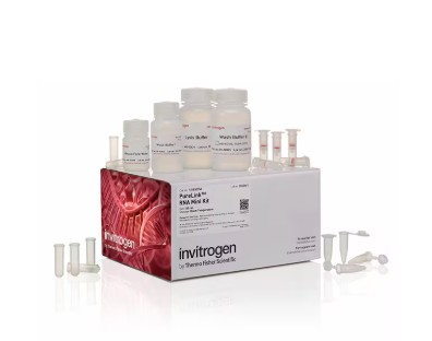 PureLink™ RNA Mini Kit (50 preps)