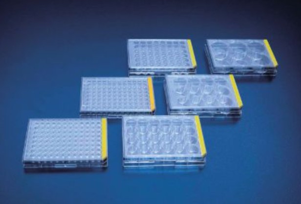 [TPP-92006] Tissue culture test plate, 6 wells PROMO Tissue culture test plate, 6 wells 1 x 1/1 case