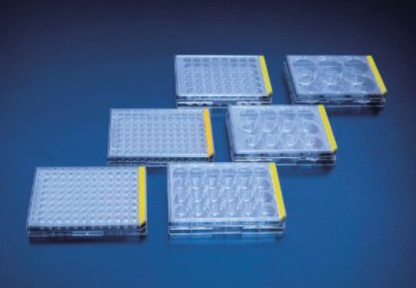 [TPP-92097] PROMO Tissue culture test plate, 96 wells, U-version 1 x 1/1 case