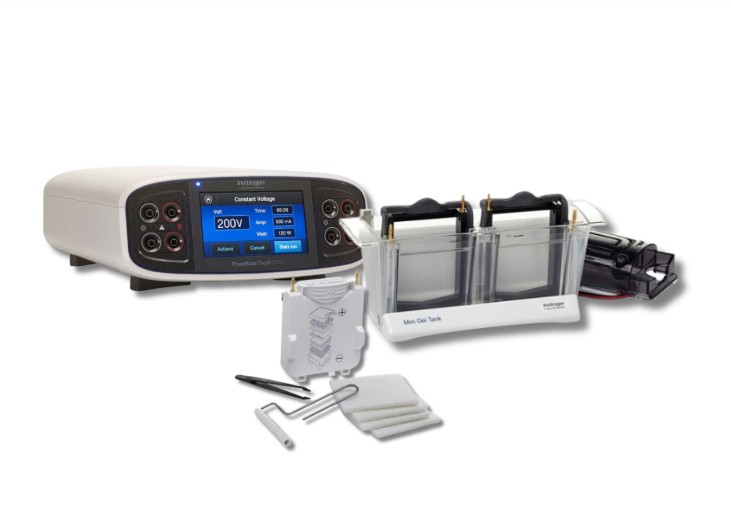 Bundling 1 Western Blot: Power Supply 350W + SDS-PAGE tank + Wet Transfer (2026)