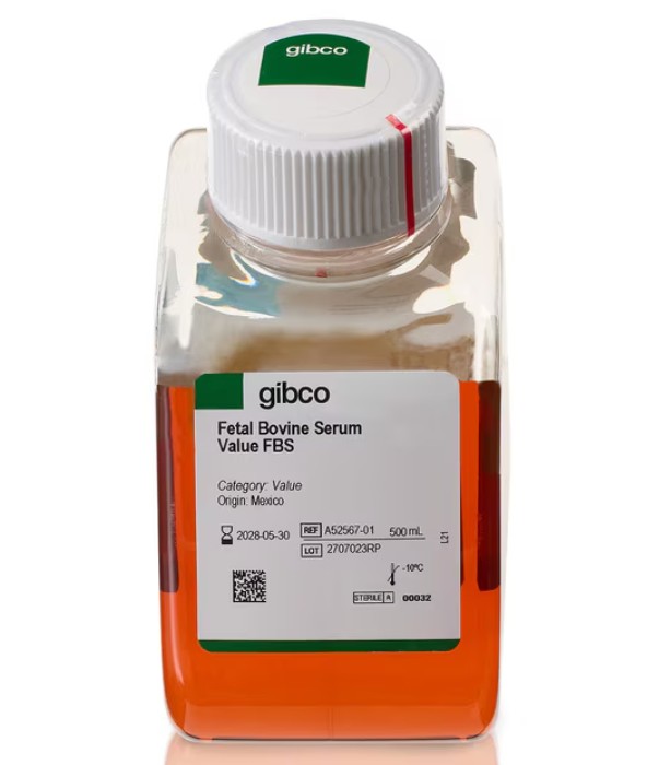 [THERMO-A5256701] Promo Bundling FBS dan Plastik
