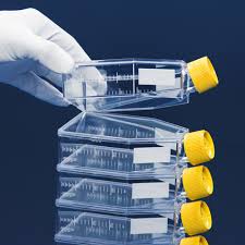 [TPP-90150] PROMO Tissue culture flask 150 cm² / vent screw cap