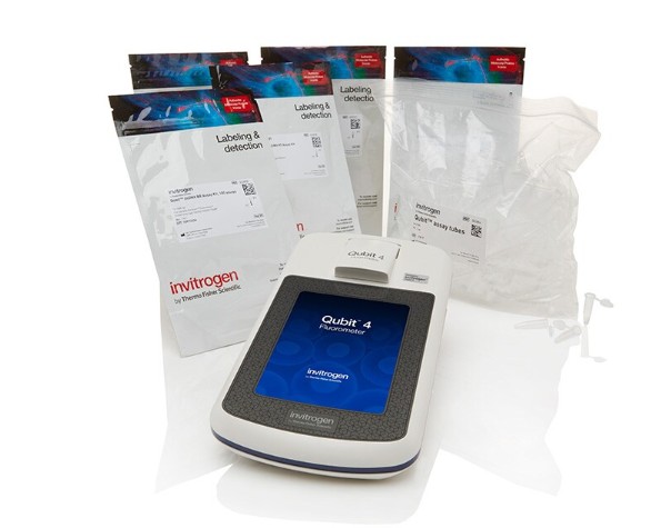 Qubit 4 All in HS dsDNA Assay