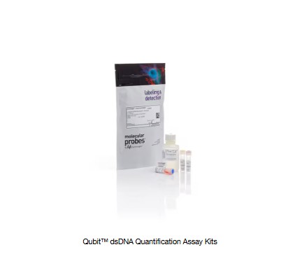 Invitrogen™ Qubit™ dsDNA BR Assay Kits (100 reactions)