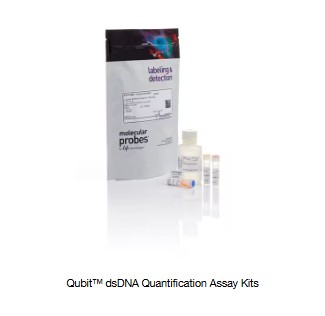 Invitrogen™ Qubit™ dsDNA HS Assay Kit (100 reaction)
