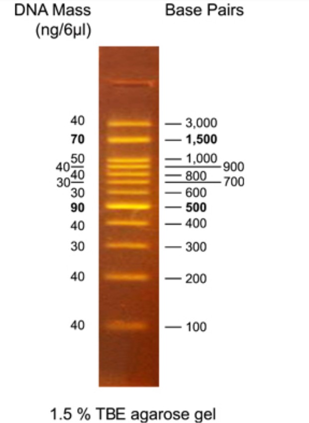 OmniMARK (BH OneMARK) 100 RTU（100-3,000 bps)