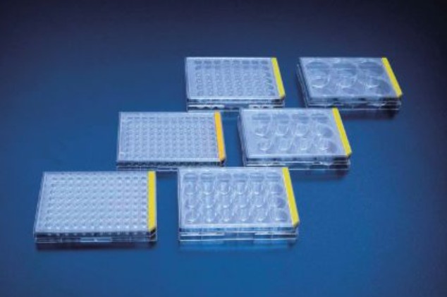 [TPP-92412] PROMO Tissue culture test plate, 12 wells (4 pcs)