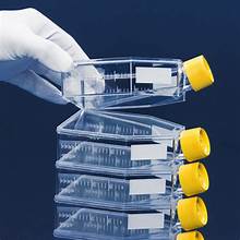 [TPP-90025] PROMO Tissue culture flask 25 cm² / vent screw cap