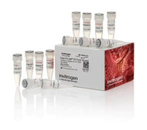 Invitrogen™ SuperScript™ III First-Strand Synthesis System