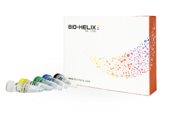 RScript cDNA Synthesis Kit ｜50 Rxns