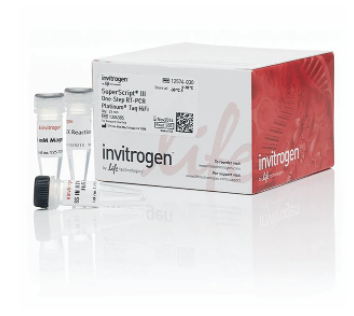Invitrogen™ SuperScript™ III One-Step RT-PCR System with Platinum™ Taq High Fidelity DNA Polymerase