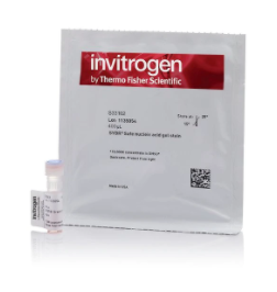 Invitrogen™ SYBR™ Safe DNA Gel Stain