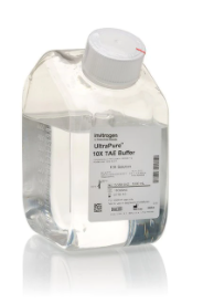 Invitrogen™ UltraPure™ TAE Buffer, 10X