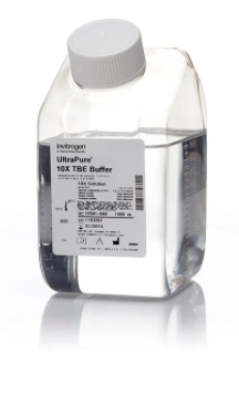 Invitrogen™ UltraPure™ TBE Buffer, 10X