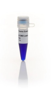 Thermo Scientific™ DNA Gel Loading Dye (6X)