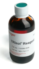 Invitrogen™ TRIzol™ Reagent