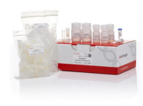 Invitrogen™ PureLink™ Genomic DNA Mini Kit