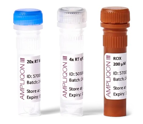 One-step RT qPCR Kit