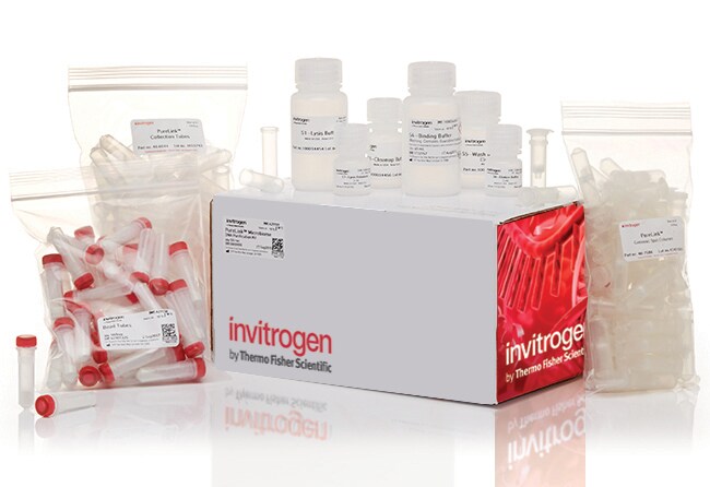 Invitrogen™ PureLink™ Microbiome DNA Purification Kit
