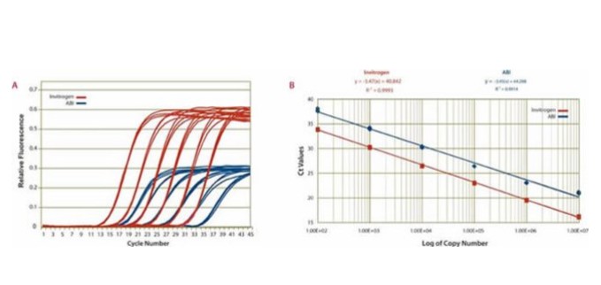 Invitrogen™ SuperScript™ III Platinum™ SYBR™ Green One-Step qPCR Kit w/ROX