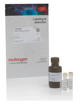 Invitrogen™ Qubit™ 1X dsDNA Assay Kits, high sensitivity (HS) (100 reactions)