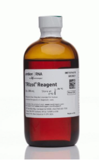 Invitrogen™ TRIzol™ Reagent