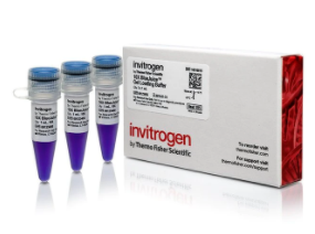 Invitrogen™ BlueJuice™ Gel Loading Buffer (10X)