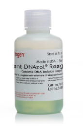 PLANT DNAZOL 100ML