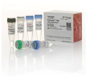 Invitrogen™ Platinum™ Taq DNA Polymerase