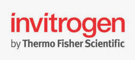 Invitrogen™ SYBR GreenER™ qPCR SuperMix for ABI PRISM™ Instrument (copy)