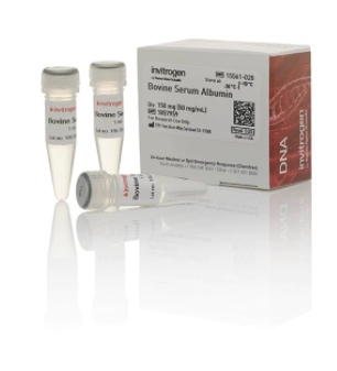 Invitrogen™ Bovine Serum Albumin