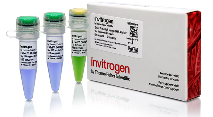 E-GEL 96 HIGH RANGE DNA MARKER MARKER, 100 APPLICATIONS