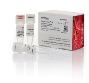 Invitrogen™ SuperScript™ IV Reverse Transcriptase