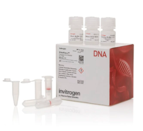 Invitrogen™ PureLink™ Genomic Plant DNA Purification Kit