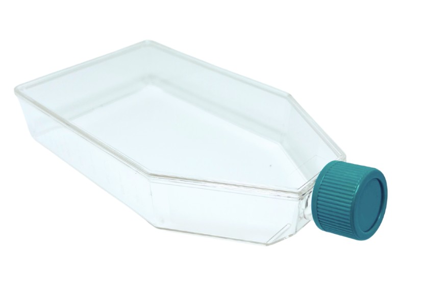 [SPL-72175 ]Tissue Culture Flask with Plugged Cap,PS, 175cm2, TC treated, Sterile to SAL10-6, 5/40/case